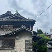 画像239