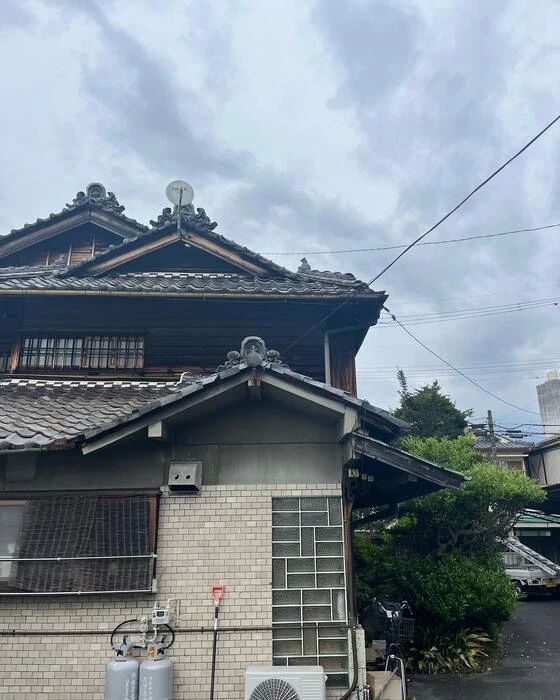 画像239