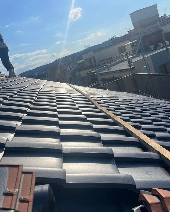 画像244