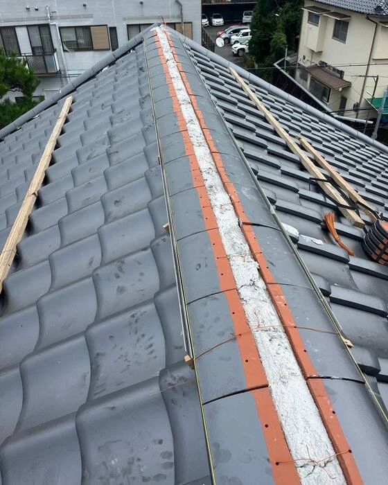 画像245